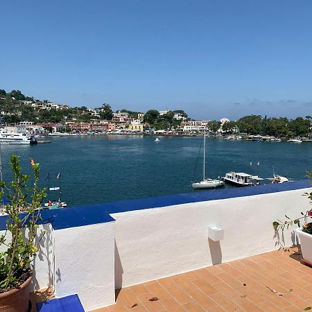 Bed and Breakfast Molo35 Ischia Zewnętrze zdjęcie