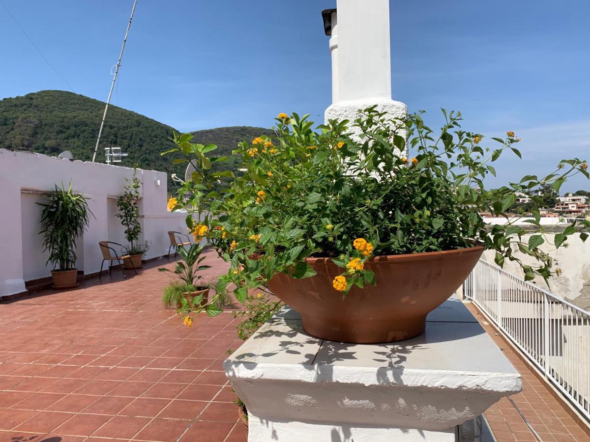 Bed and Breakfast Molo35 Ischia Zewnętrze zdjęcie