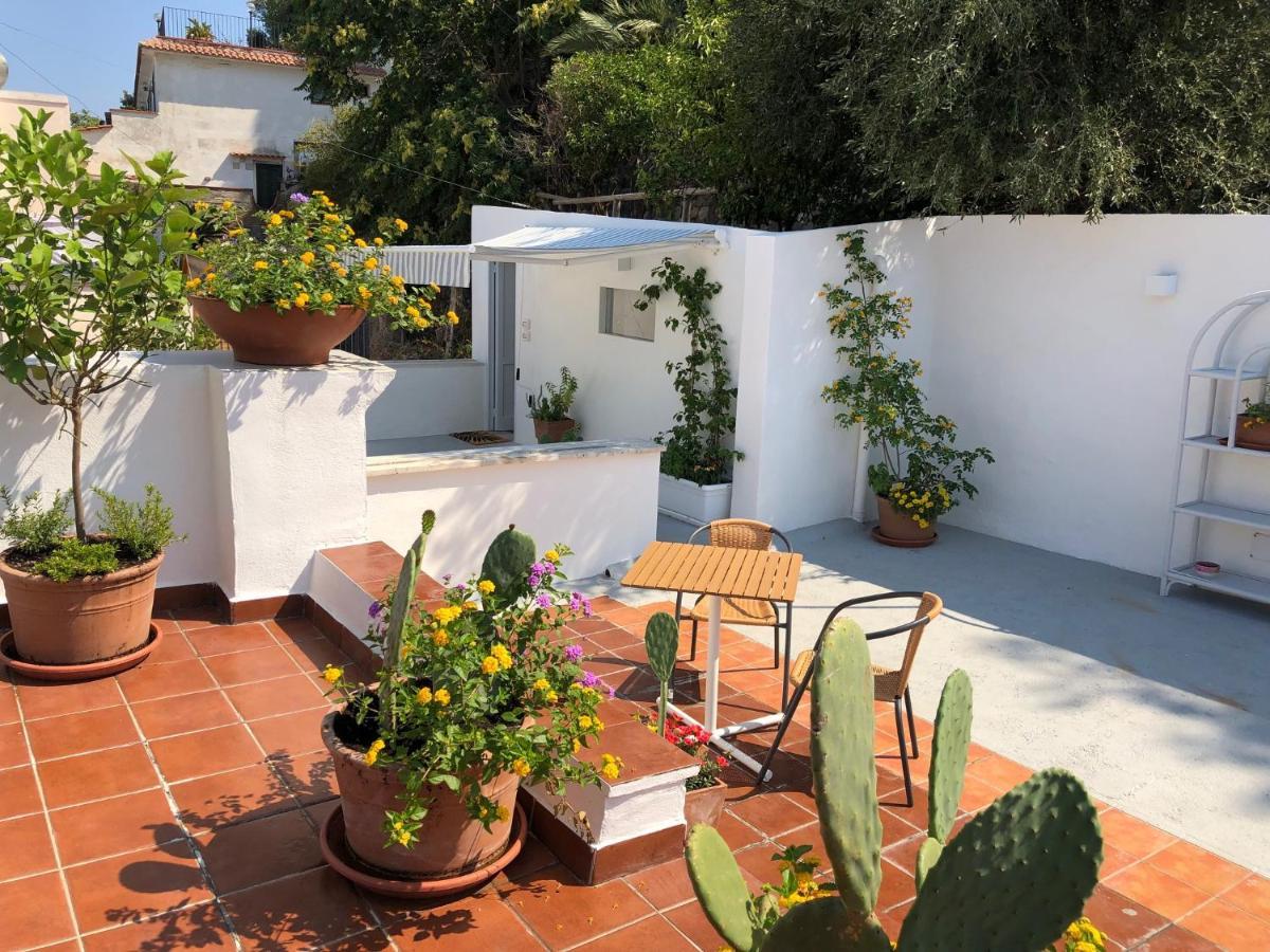 Bed and Breakfast Molo35 Ischia Zewnętrze zdjęcie